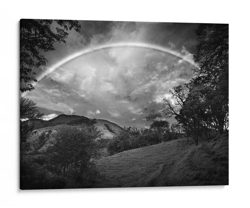 Campo Verde Con Arco Iris - Nish Nalbandian | Cuadro decorativo de Canvas Lab