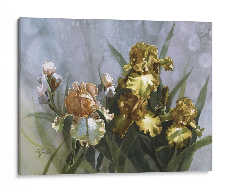 Hadfield Iris I - Clif Hadfield | Cuadro decorativo de Canvas Lab