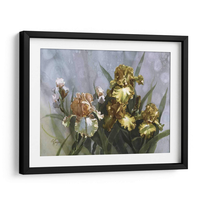 Hadfield Iris I - Clif Hadfield | Cuadro decorativo de Canvas Lab