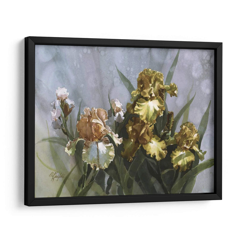 Hadfield Iris I - Clif Hadfield | Cuadro decorativo de Canvas Lab