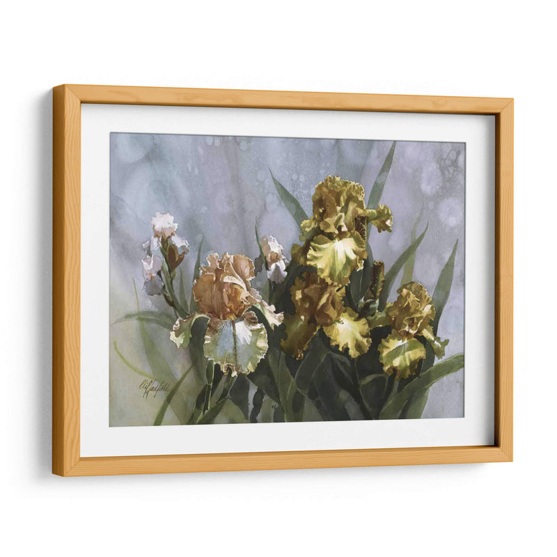 Hadfield Iris I - Clif Hadfield | Cuadro decorativo de Canvas Lab