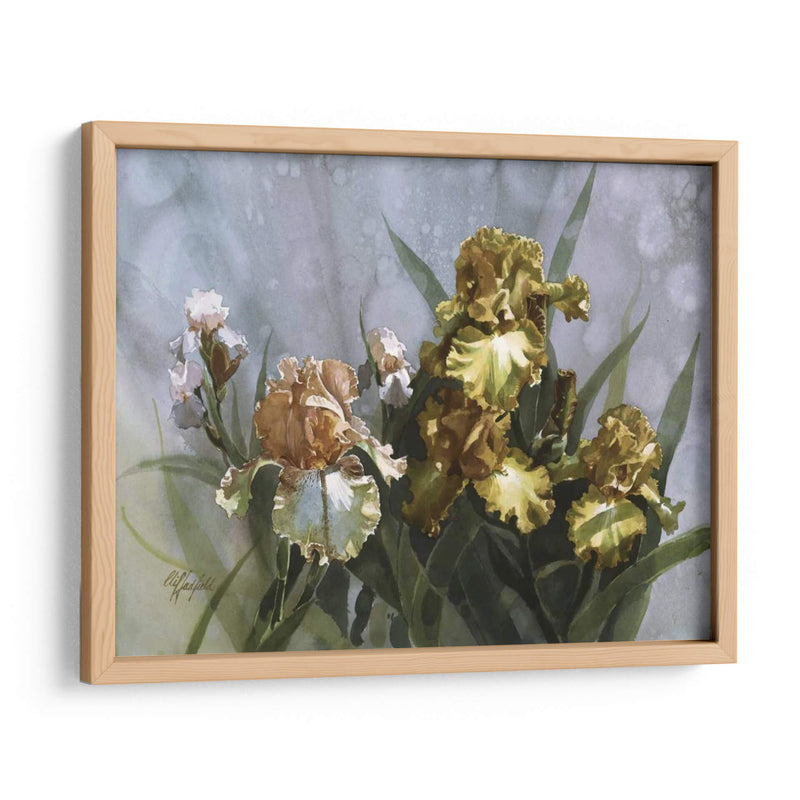 Hadfield Iris I - Clif Hadfield | Cuadro decorativo de Canvas Lab