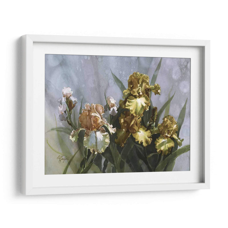 Hadfield Iris I - Clif Hadfield | Cuadro decorativo de Canvas Lab