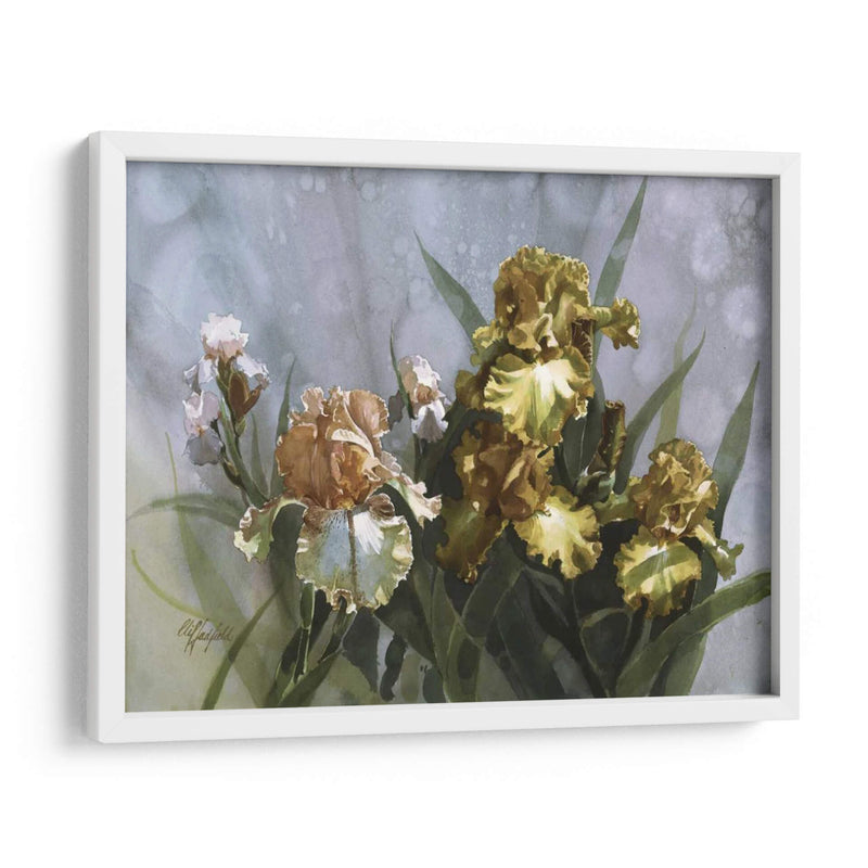 Hadfield Iris I - Clif Hadfield | Cuadro decorativo de Canvas Lab