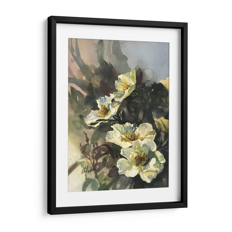 Hadfield Roses Ii - Clif Hadfield | Cuadro decorativo de Canvas Lab