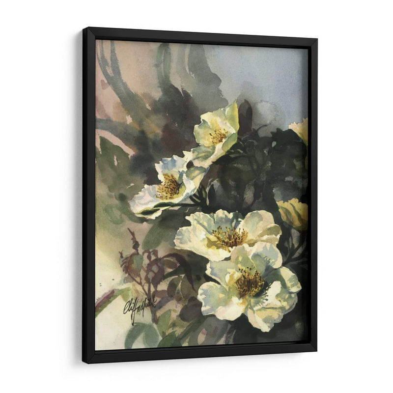 Hadfield Roses Ii - Clif Hadfield | Cuadro decorativo de Canvas Lab