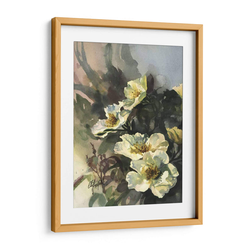 Hadfield Roses Ii - Clif Hadfield | Cuadro decorativo de Canvas Lab