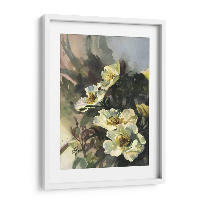 Hadfield Roses Ii - Clif Hadfield | Cuadro decorativo de Canvas Lab