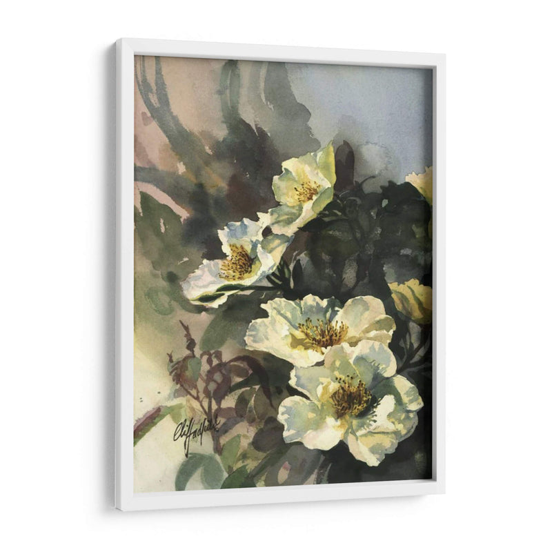 Hadfield Roses Ii - Clif Hadfield | Cuadro decorativo de Canvas Lab