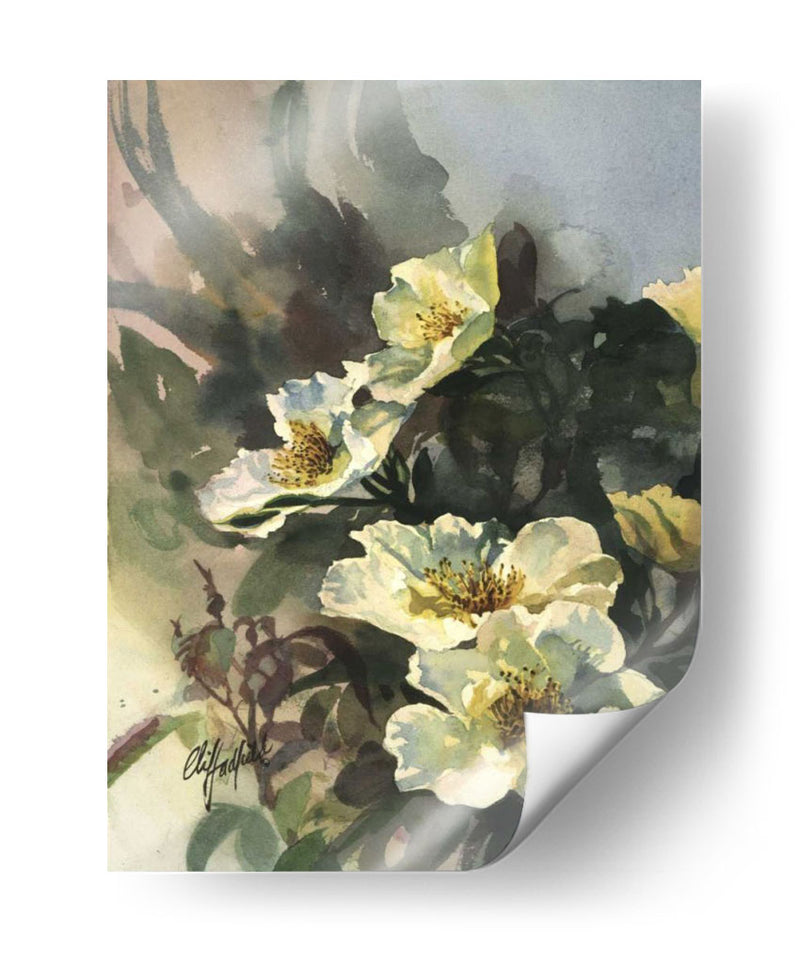 Hadfield Roses Ii - Clif Hadfield | Cuadro decorativo de Canvas Lab