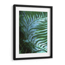 Emerald Feathering I - Danielle Harrington | Cuadro decorativo de Canvas Lab