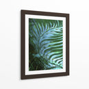 Emerald Feathering I - Danielle Harrington | Cuadro decorativo de Canvas Lab