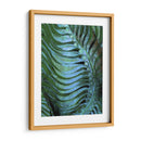 Emerald Feathering Ii - Danielle Harrington | Cuadro decorativo de Canvas Lab