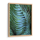 Emerald Feathering Ii - Danielle Harrington | Cuadro decorativo de Canvas Lab