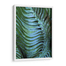 Emerald Feathering Ii - Danielle Harrington | Cuadro decorativo de Canvas Lab