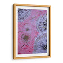 Plissenblit rose - David Ríos | Cuadro decorativo de Canvas Lab