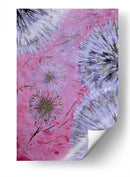 Plissenblit rose - David Ríos | Cuadro decorativo de Canvas Lab