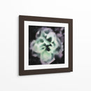 Tarde Rose Ii - Danielle Harrington | Cuadro decorativo de Canvas Lab