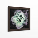 Tarde Rose Ii - Danielle Harrington | Cuadro decorativo de Canvas Lab