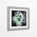 Tarde Rose Ii - Danielle Harrington | Cuadro decorativo de Canvas Lab
