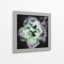 Tarde Rose Ii - Danielle Harrington | Cuadro decorativo de Canvas Lab
