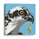 Usted Tonto Pájaro - Senior - Dlynn Roll | Cuadro decorativo de Canvas Lab