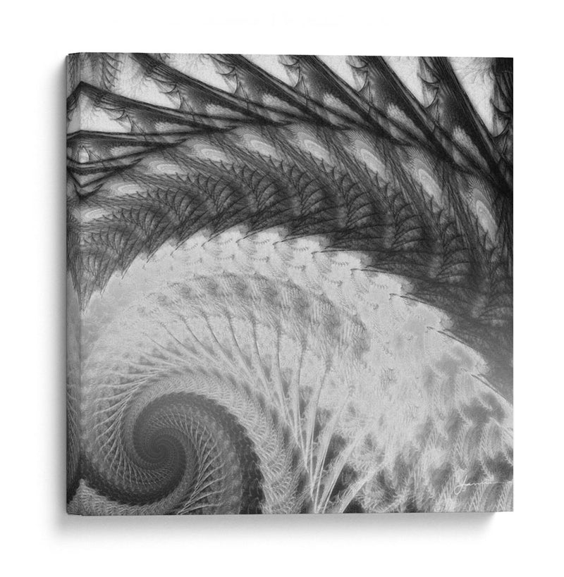 Helix I - James Burghardt | Cuadro decorativo de Canvas Lab