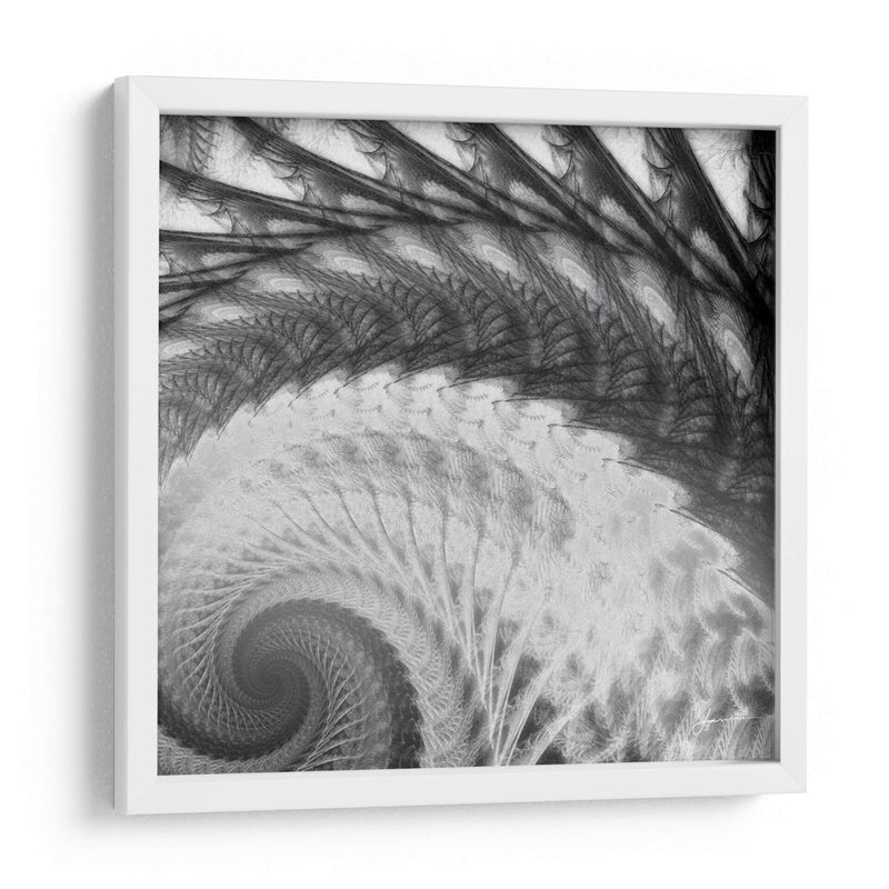 Helix I - James Burghardt | Cuadro decorativo de Canvas Lab