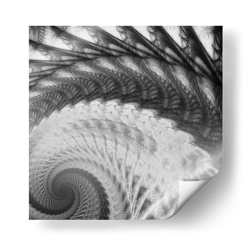 Helix I - James Burghardt | Cuadro decorativo de Canvas Lab