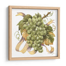 Acuarela Uvas Ii - Jerianne Van Dijk | Cuadro decorativo de Canvas Lab