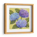 Hortensias De Primavera I - Tim OToole | Cuadro decorativo de Canvas Lab