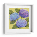 Hortensias De Primavera I - Tim OToole | Cuadro decorativo de Canvas Lab