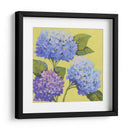 Hortensias De Primavera Ii - Tim OToole | Cuadro decorativo de Canvas Lab