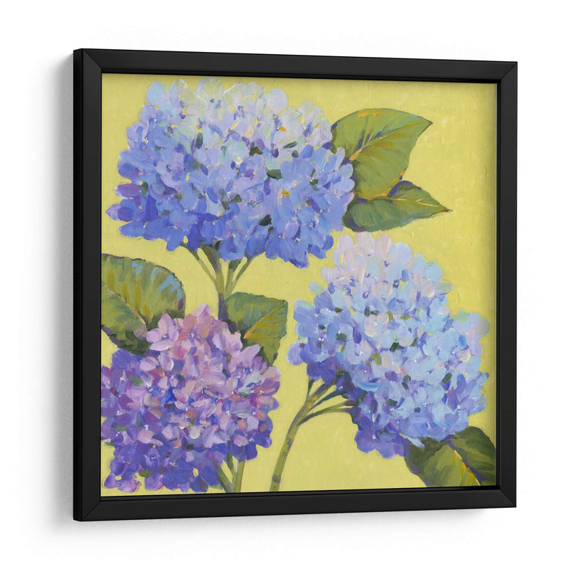 Hortensias De Primavera Ii - Tim OToole | Cuadro decorativo de Canvas Lab