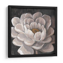 Fleur Neutro I - Tim OToole | Cuadro decorativo de Canvas Lab