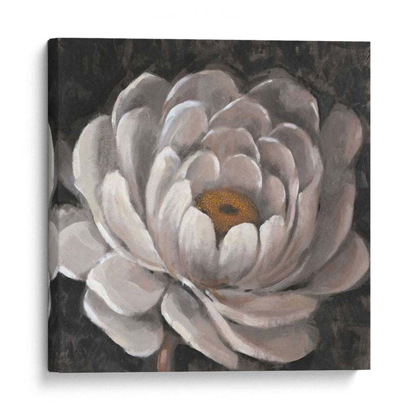 Fleur Ii Neutral - Tim OToole | Cuadro decorativo de Canvas Lab