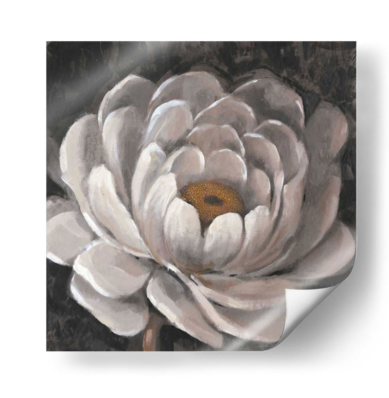 Fleur Ii Neutral - Tim OToole | Cuadro decorativo de Canvas Lab