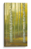 Sunny Birch Grove I - Julie Joy | Cuadro decorativo de Canvas Lab