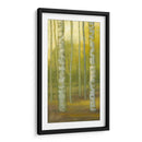 Sunny Birch Grove I - Julie Joy | Cuadro decorativo de Canvas Lab