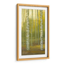 Sunny Birch Grove I - Julie Joy | Cuadro decorativo de Canvas Lab