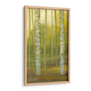 Sunny Birch Grove I - Julie Joy | Cuadro decorativo de Canvas Lab