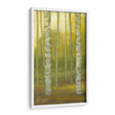 Sunny Birch Grove I - Julie Joy | Cuadro decorativo de Canvas Lab