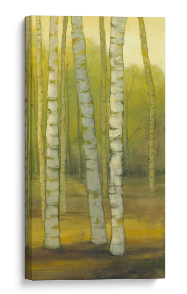 Sunny Birch Grove Ii - Julie Joy | Cuadro decorativo de Canvas Lab