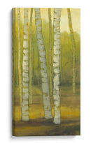 Sunny Birch Grove Ii - Julie Joy | Cuadro decorativo de Canvas Lab