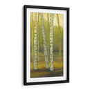 Sunny Birch Grove Ii - Julie Joy | Cuadro decorativo de Canvas Lab