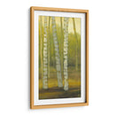 Sunny Birch Grove Ii - Julie Joy | Cuadro decorativo de Canvas Lab
