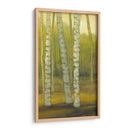 Sunny Birch Grove Ii - Julie Joy | Cuadro decorativo de Canvas Lab