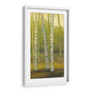 Sunny Birch Grove Ii - Julie Joy | Cuadro decorativo de Canvas Lab
