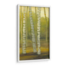 Sunny Birch Grove Ii - Julie Joy | Cuadro decorativo de Canvas Lab