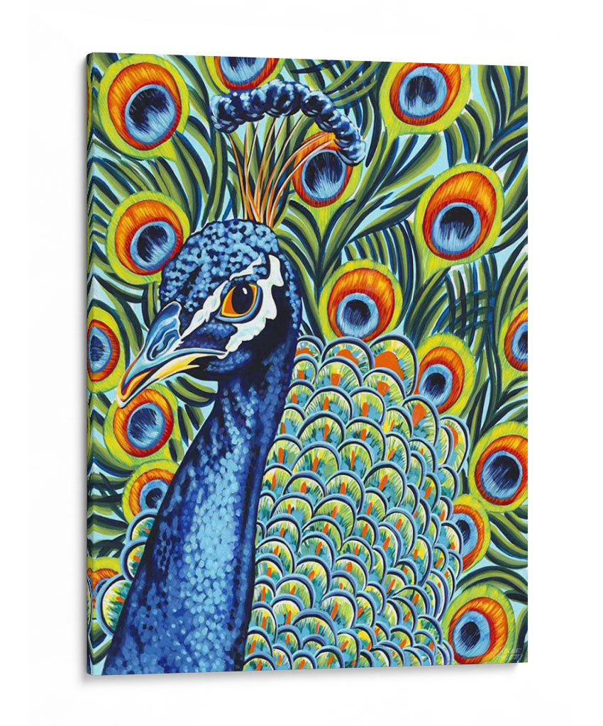 Peacock Plumado I - Carolee Vitaletti | Cuadro decorativo de Canvas Lab
